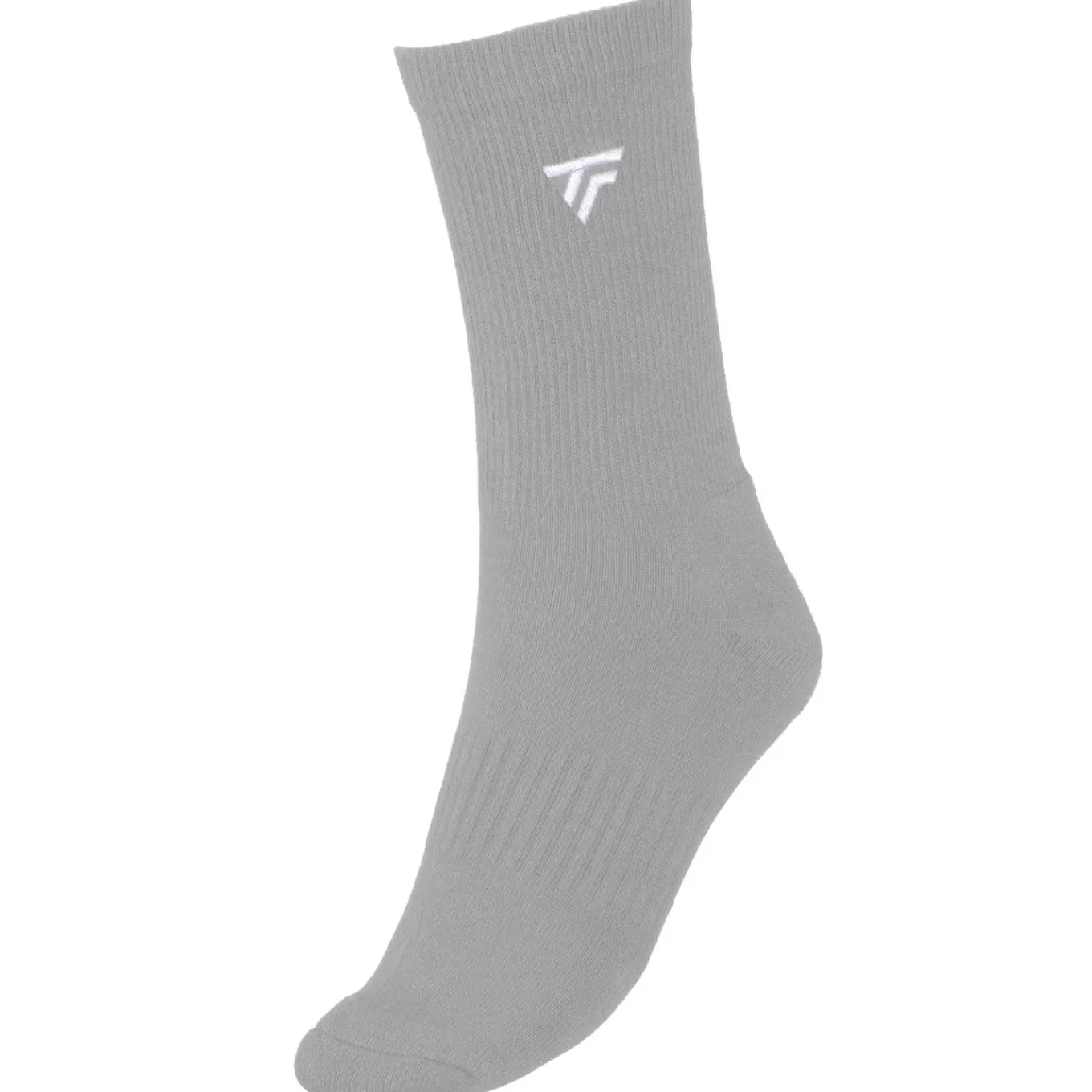 Fashion Tecnifibre SOCKS CLASSIC SILVER X3